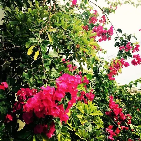 Vista Mare Mela B * Lipari (Isola Lipari)